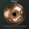 B Amara 17 bottom 2