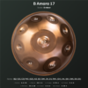 B Amara 17 top 1