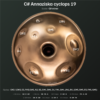 C Annaziska cyclops 19 bottom