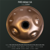 F2 minor 16 bottom