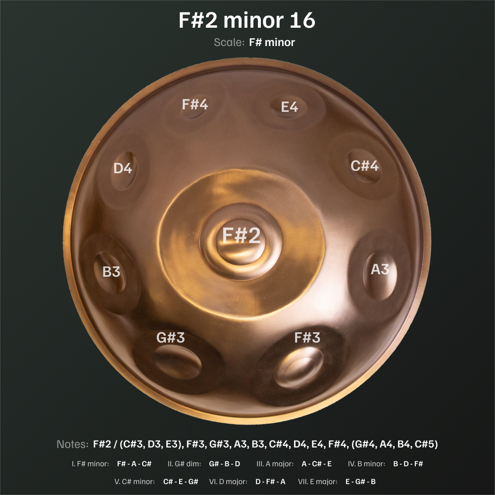 F2 minor 16 top