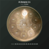 A Amara 11 1