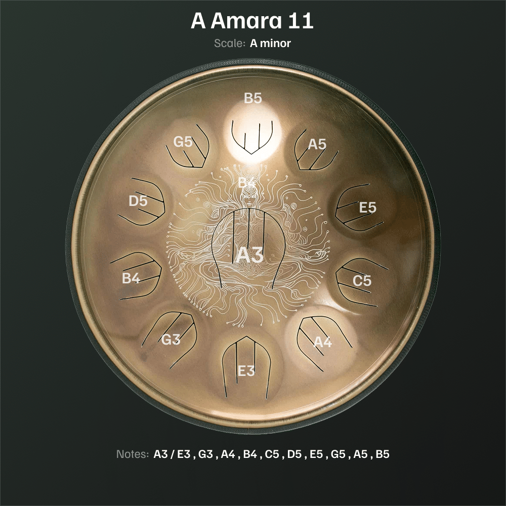 A Amara 11 1