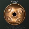 G2 Minor 13 bottom 1