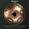 B Amara 17 bottom