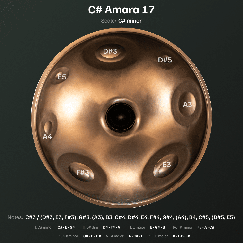 C# Amara 17 - Image 4